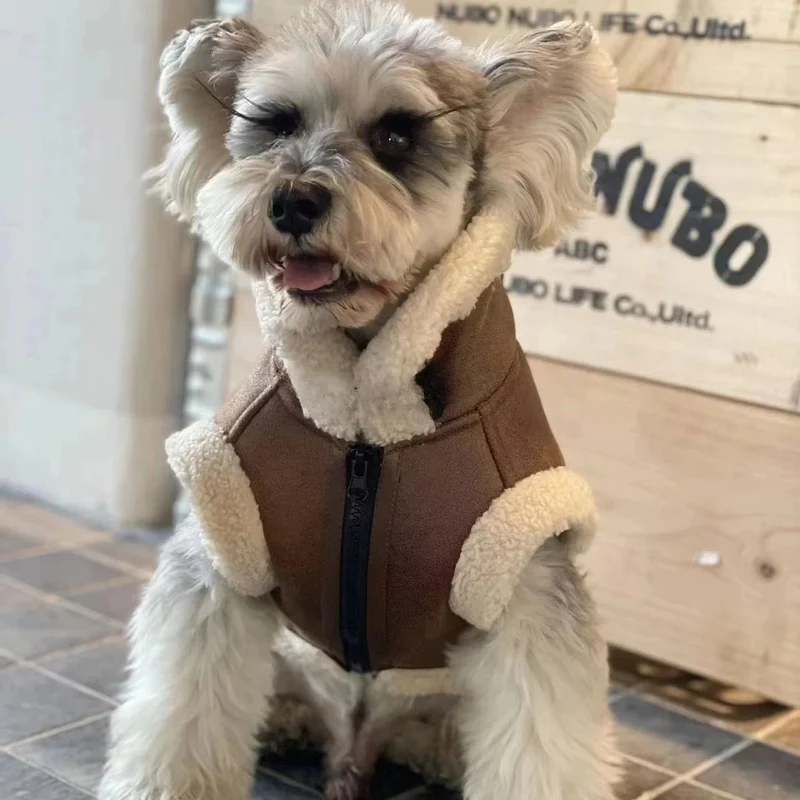 Blusão quente, Outono / Inverno, para cães pequenos e médios