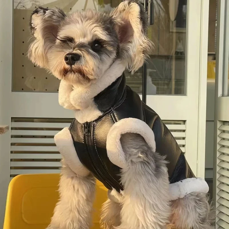 Blusão quente, Outono / Inverno, para cães pequenos e médios