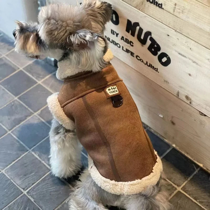 Blusão quente, Outono / Inverno, para cães pequenos e médios