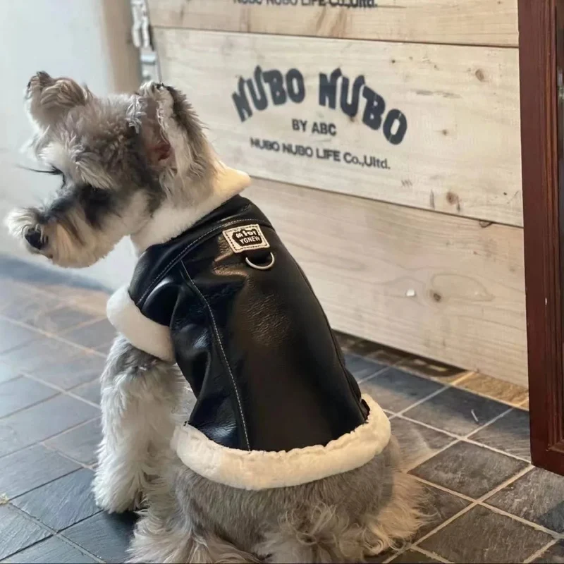 Blusão quente, Outono / Inverno, para cães pequenos e médios