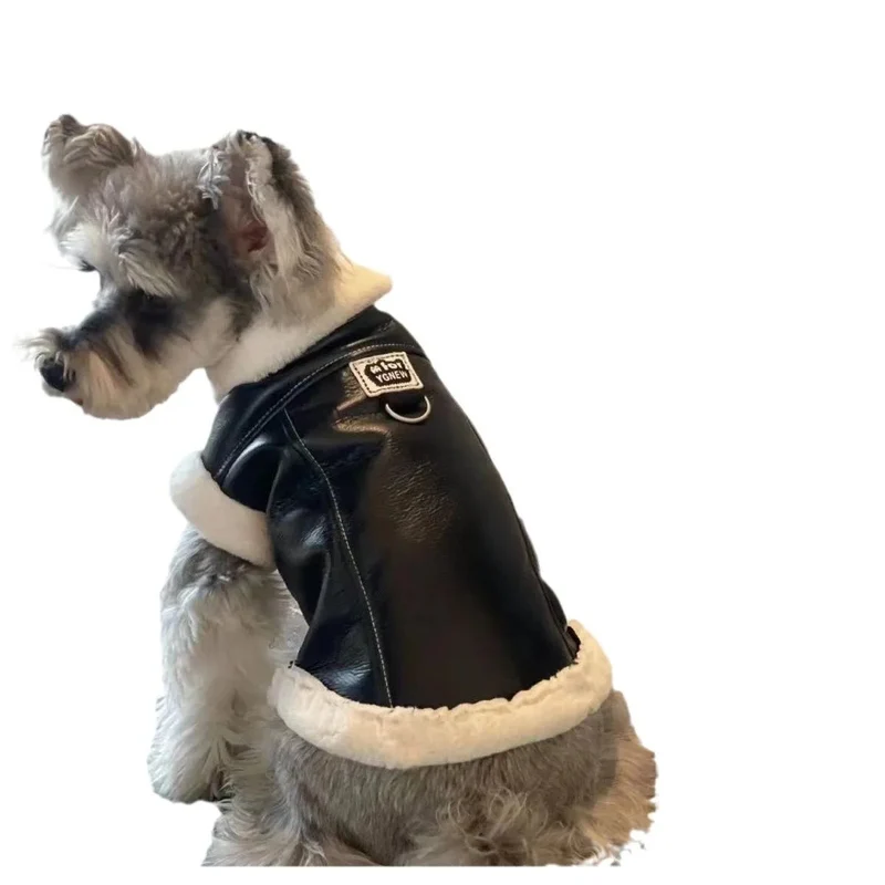 Blusão quente, Outono / Inverno, para cães pequenos e médios