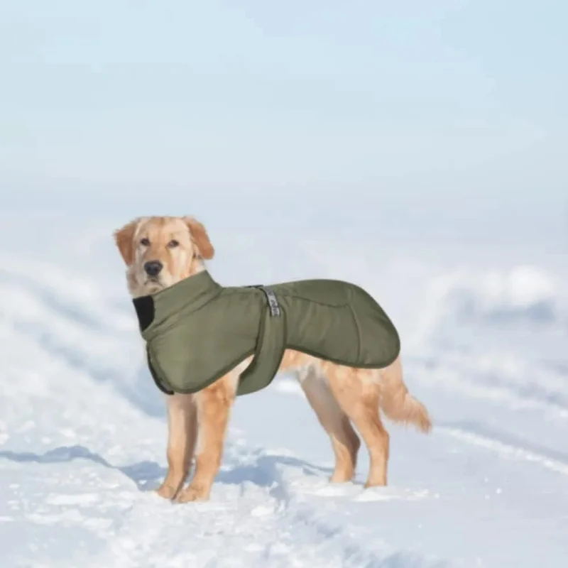 Casaco / Blusão de Outono - Inverno, Impermeável e Quente, para cães