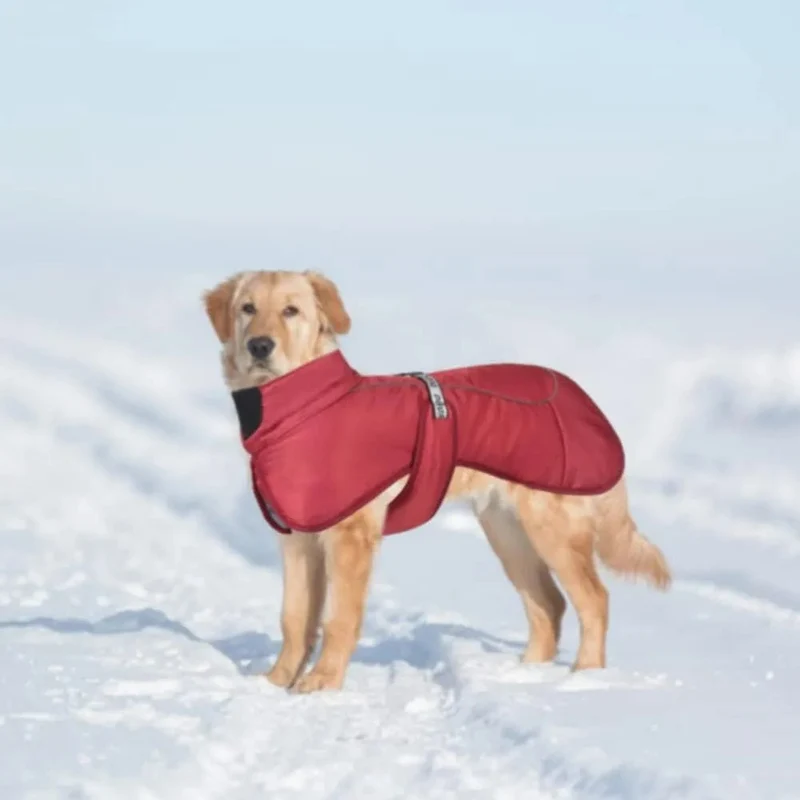 Casaco / Blusão de Outono - Inverno, Impermeável e Quente, para cães
