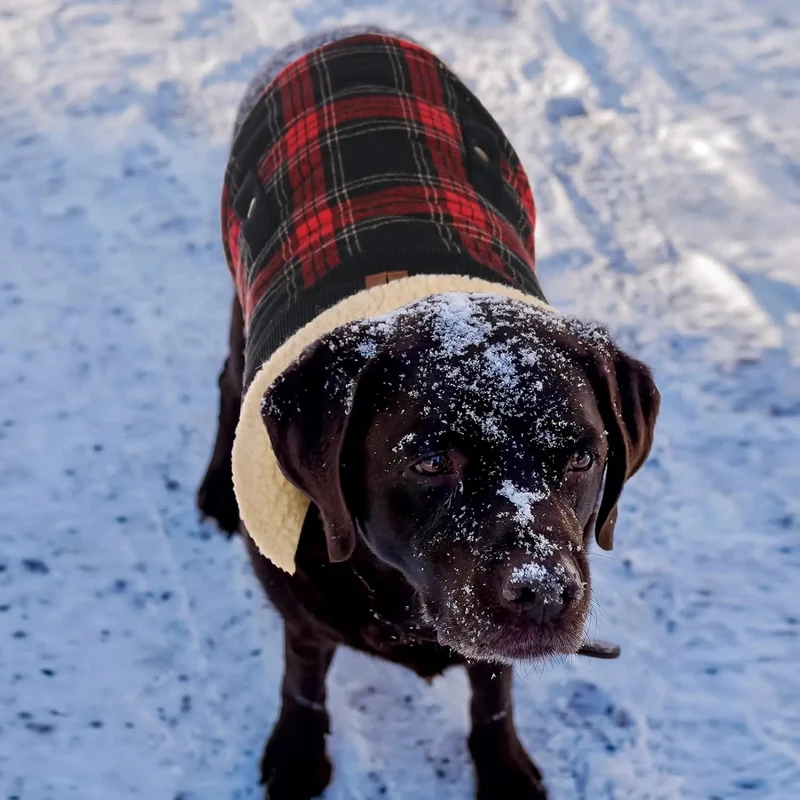 Casaco de Inverno para cão - colete polar grosso com estampado tartã - ideal para o Natal