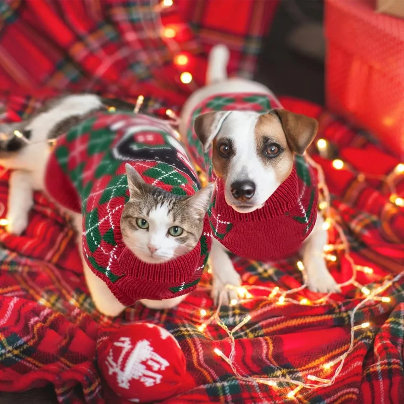 Camisolas de Natal para cães e gatinhos