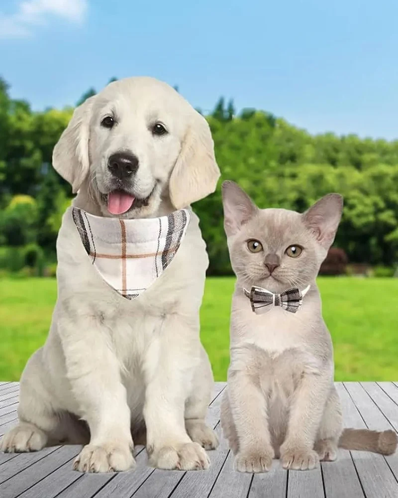 Coleira de Natal Lenço e Laço Borboleta, para Gatos ou Cães