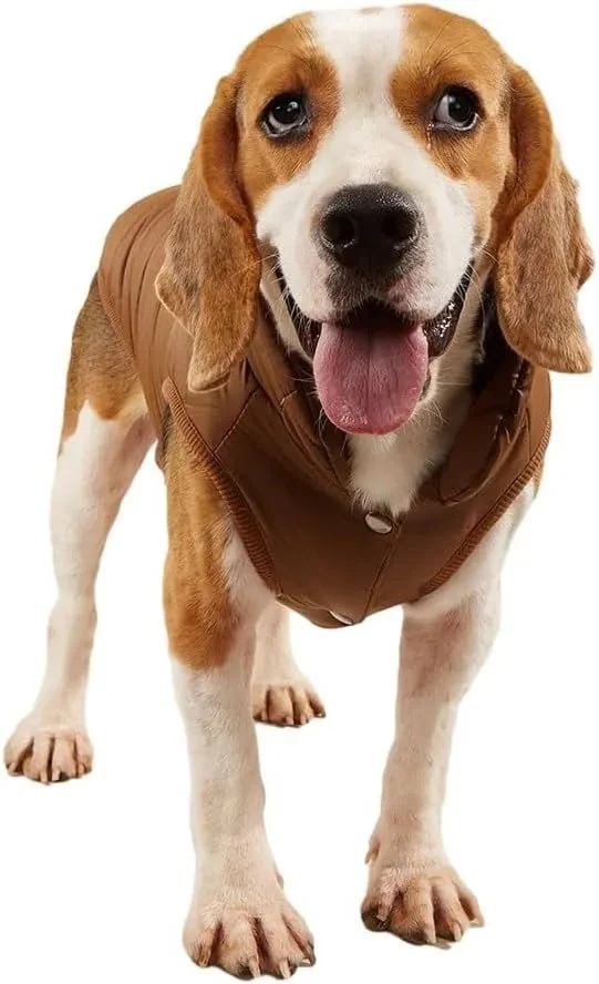 Casaco Blusão Impermeável e Quente para Cães