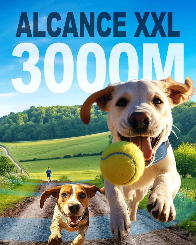 Coleira de treino para cães, sem descarga elétrica, 9 níveis, som, vibração e impulso, alcance de 3000 m, recarregável, automonomia 30 dias, impermeável IP67