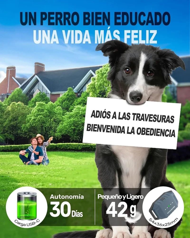 Coleira de treino para cães, sem descarga elétrica, 9 níveis, som, vibração e impulso, alcance de 3000 m, recarregável, automonomia 30 dias, impermeável IP67
