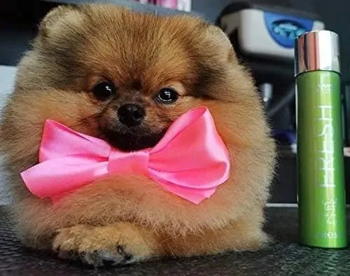 Artero Perfume para cães