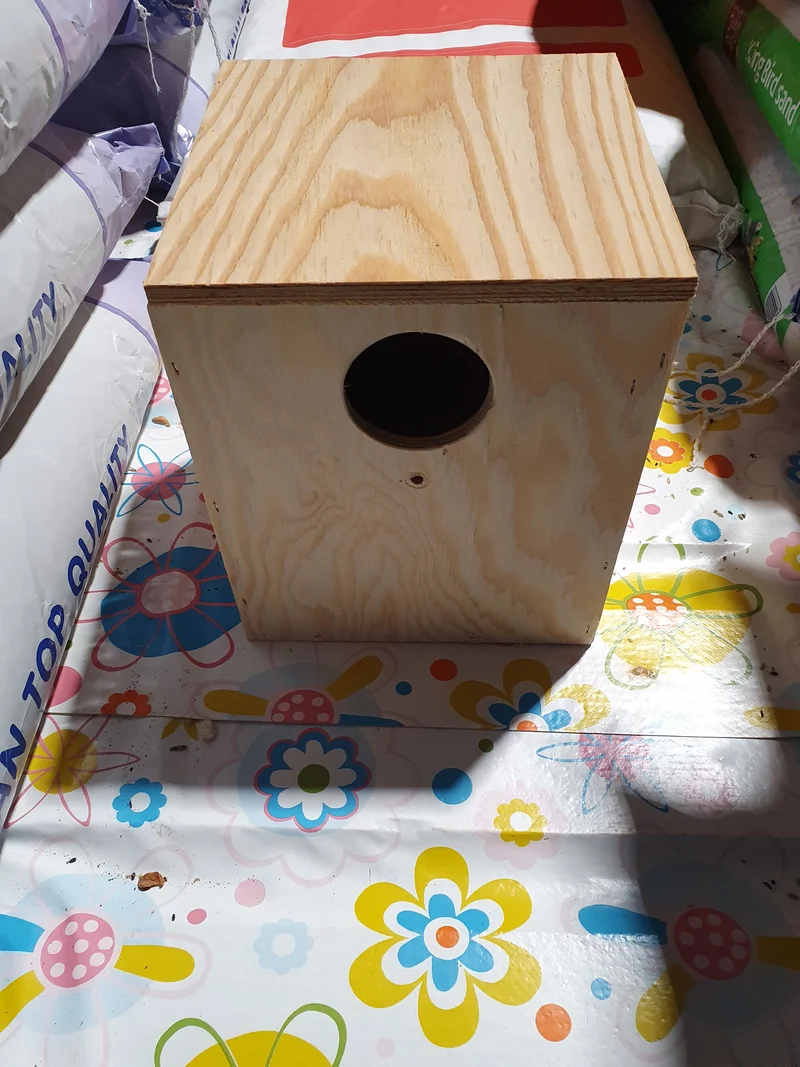 Nestblock Kleinsittiche 20 x 20 x 30