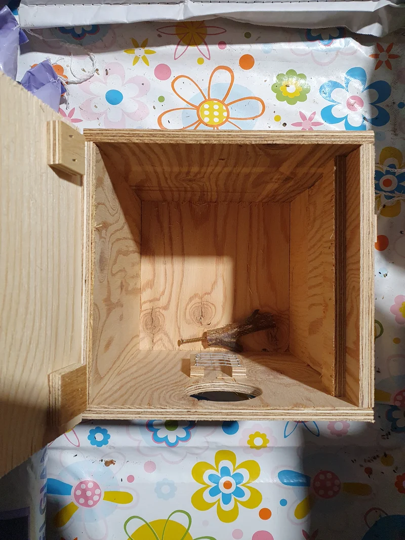 Nestblock Kleinsittiche 20 x 20 x 30