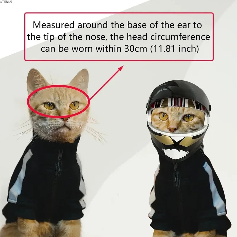 Mini-Capacete para Cães ou Gatos