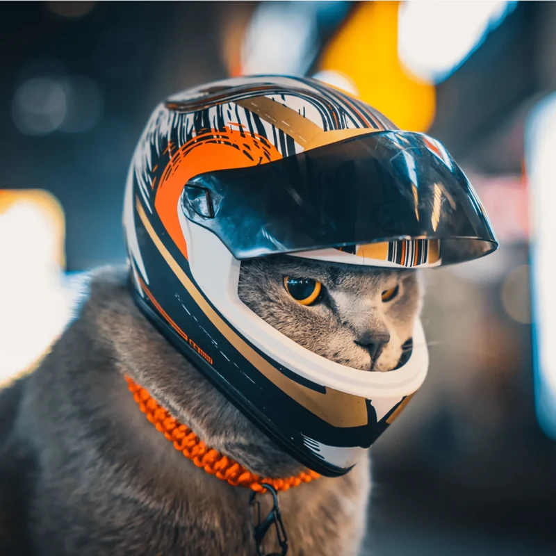 Mini-Capacete para Cães ou Gatos