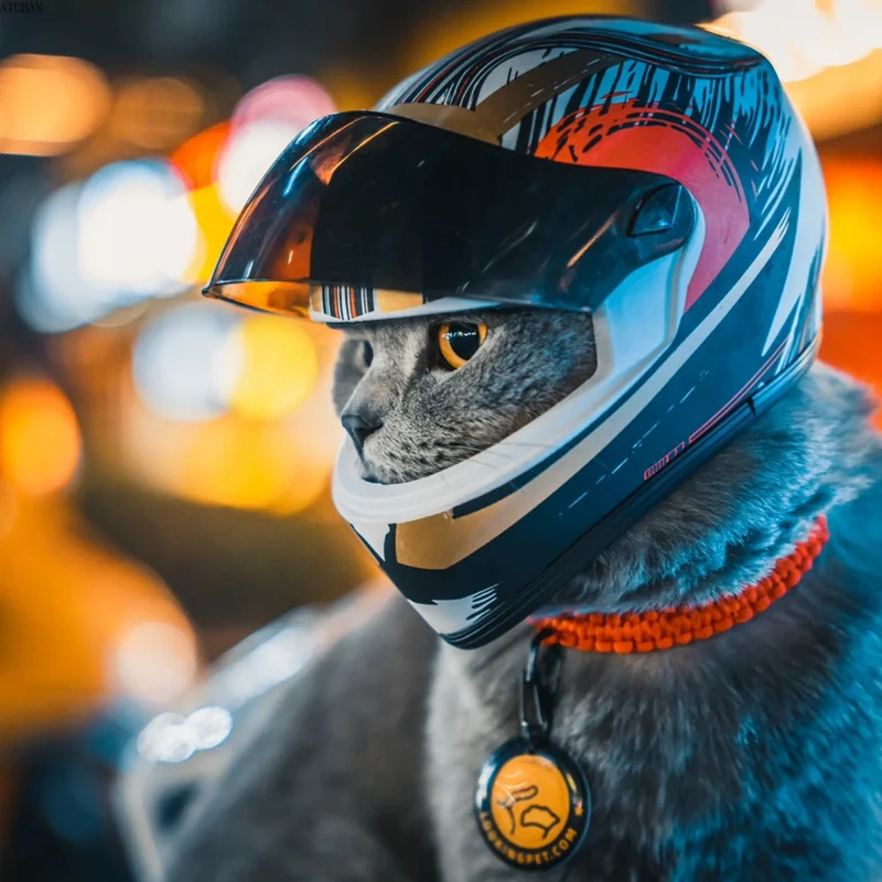 Mini-Capacete para Cães ou Gatos