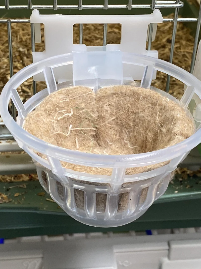 Dama Hybrid Nest (inkl. Nistmatte) - Moldes Ave