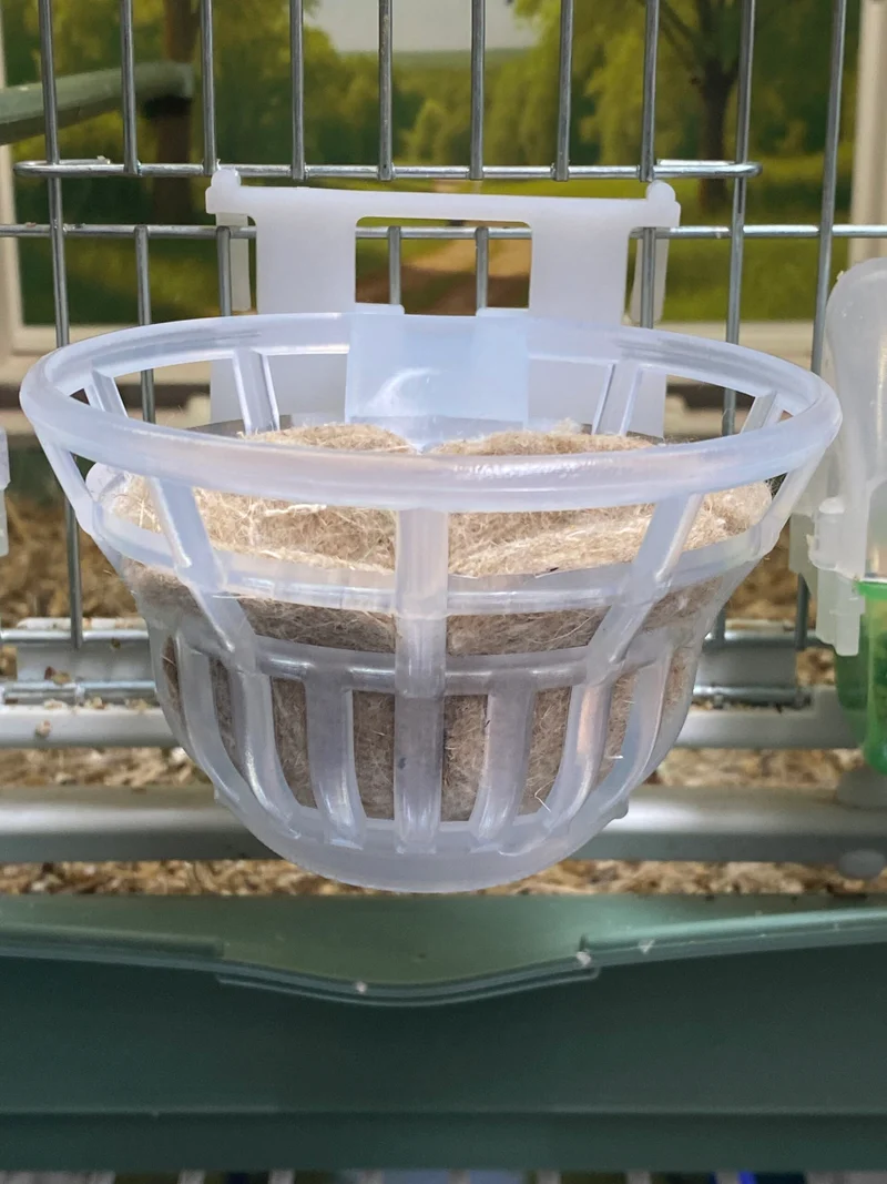 Dama Hybrid Nest (inkl. Nistmatte) - Moldes Ave