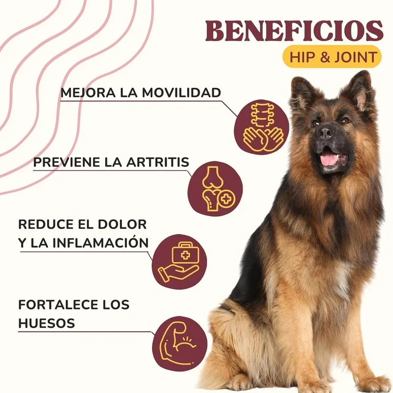 Lamina Care - Condroprotetor cães e gatos para fortalecer as articulações e a anca com glucosamina, colageno para cães, condritiona e mexillon lábios verdes, anti-inflamatório cães e gatos