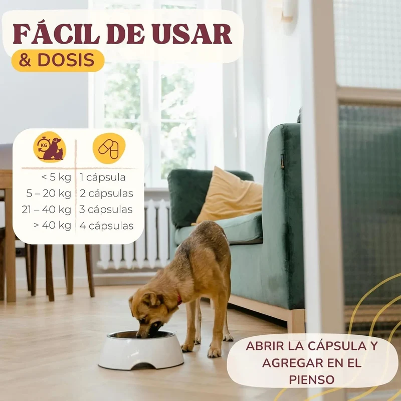 Lamina Care - Condroprotetor cães e gatos para fortalecer as articulações e a anca com glucosamina, colageno para cães, condritiona e mexillon lábios verdes, anti-inflamatório cães e gatos