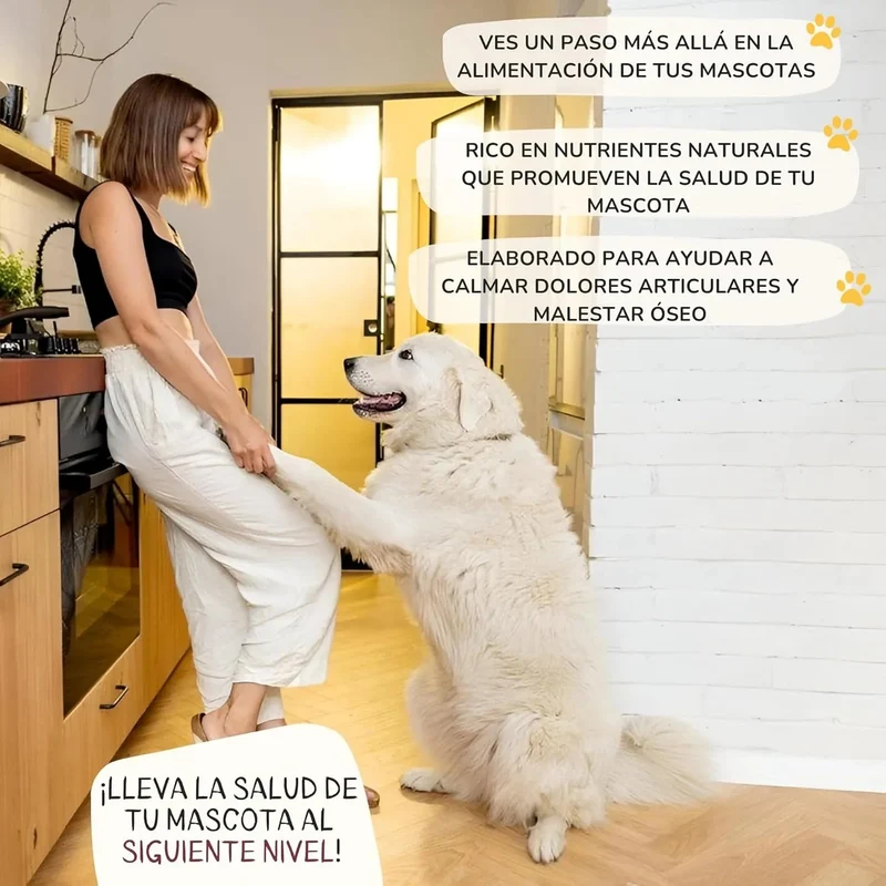 Lamina Care - Condroprotetor cães e gatos para fortalecer as articulações e a anca com glucosamina, colageno para cães, condritiona e mexillon lábios verdes, anti-inflamatório cães e gatos