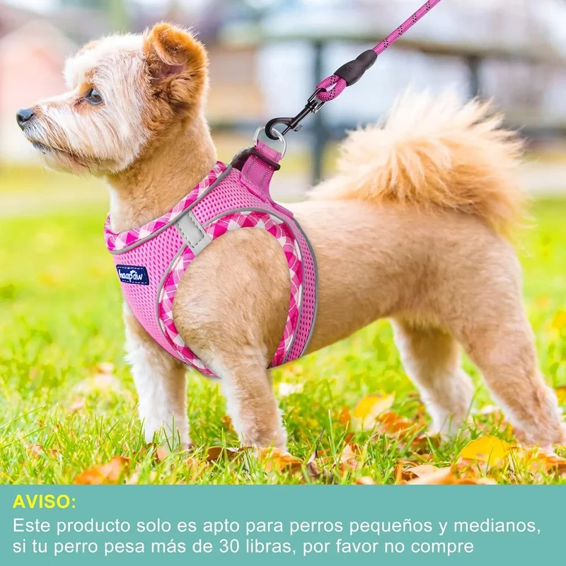 Conjunto de arnês refletor e trela para cão, ajustável e acolchoado