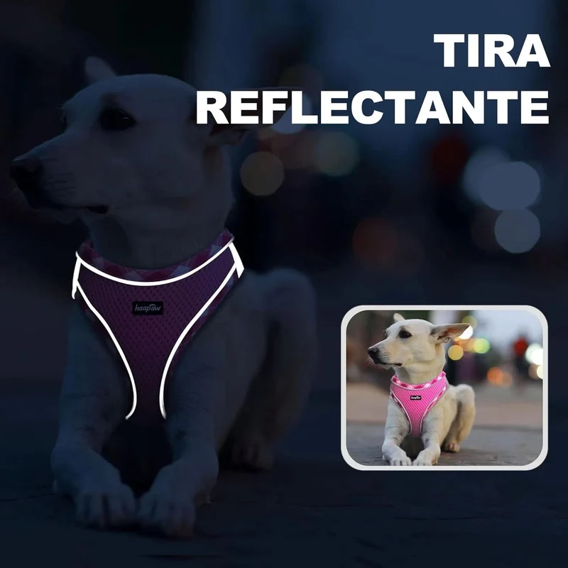Conjunto de arnês refletor e trela para cão, ajustável e acolchoado