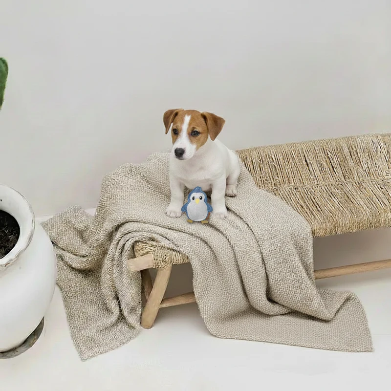 BUDDY. Hundespielzeug aus Leder "Kleiner Pinguin"