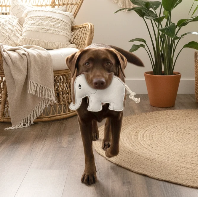 BUDDY. Hundespielzeug aus Leder "Elefant"