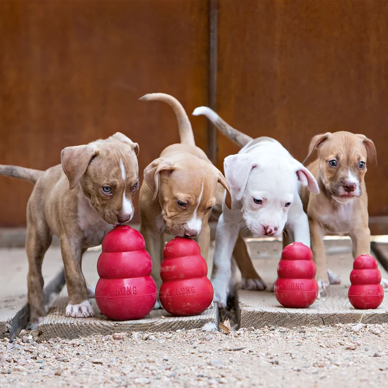 Hundespielzeug KONG® Classic