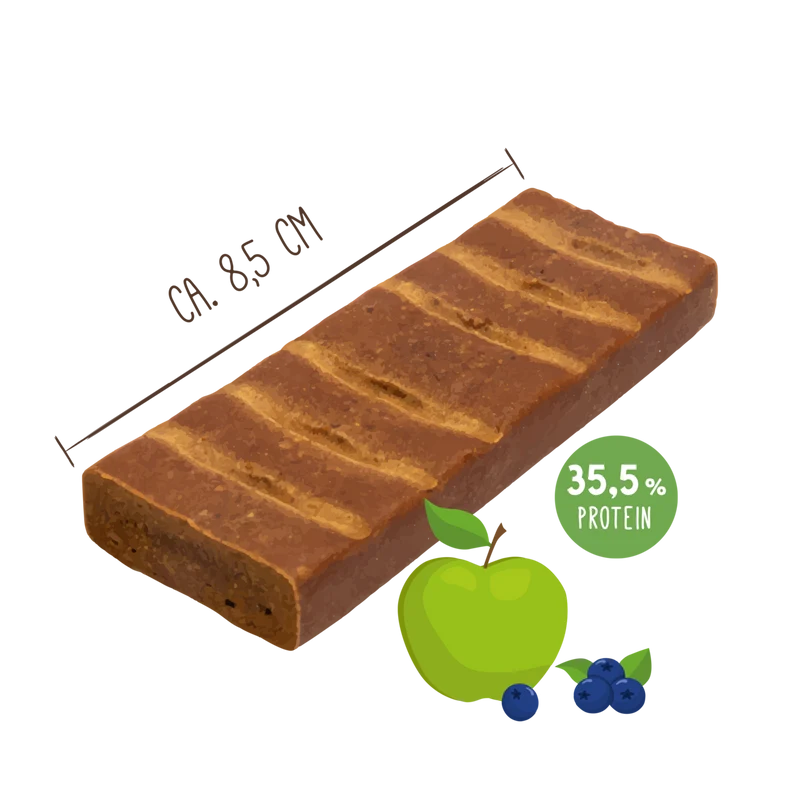 Sammys Fitness-Schnitte