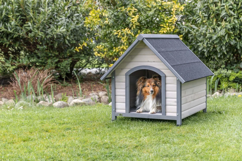 Hundehütte Cottage