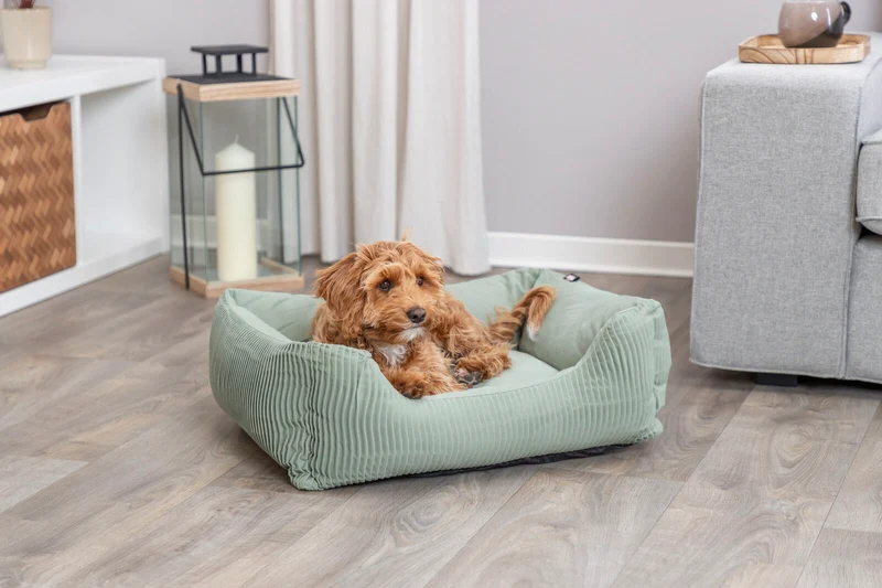Bett Marley