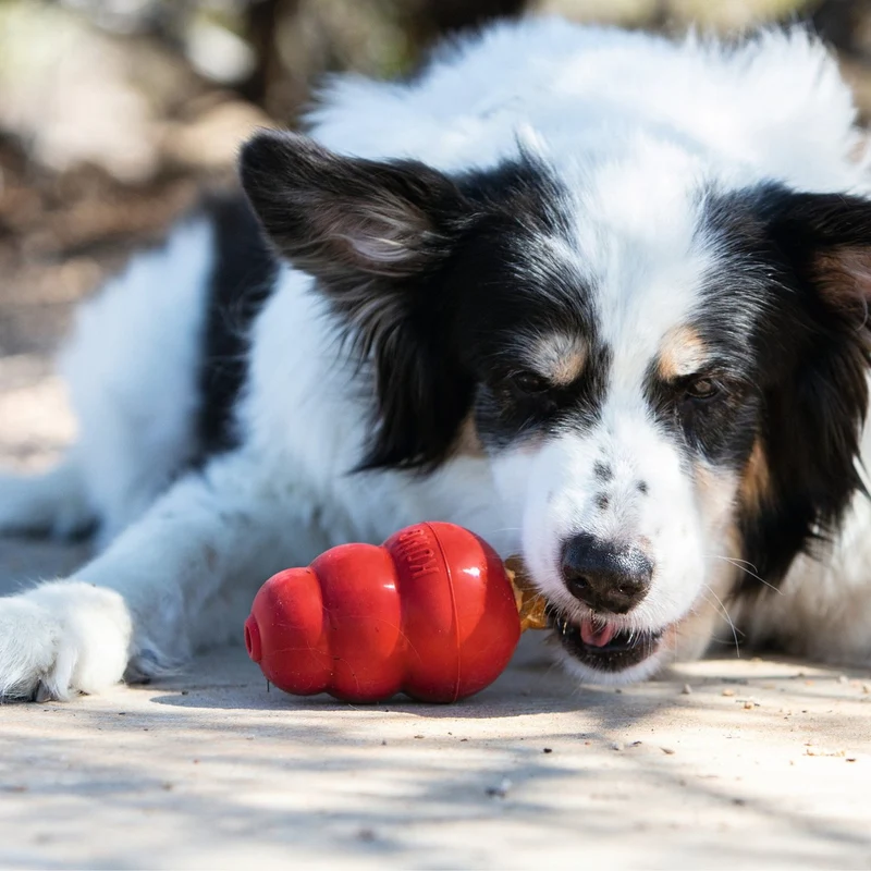 KONG Snacks – Hundekekse für KONG Classic | Hühnerleber, Speck & Käse, Erdnussbutter