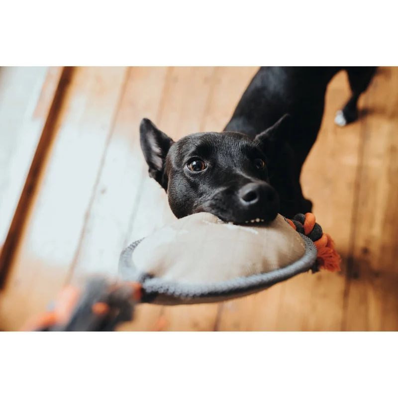 Hunter Hundespielzeug Tough Pombas