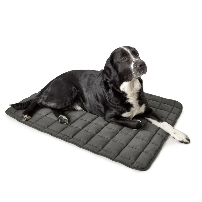 Hundedecke Hamilton