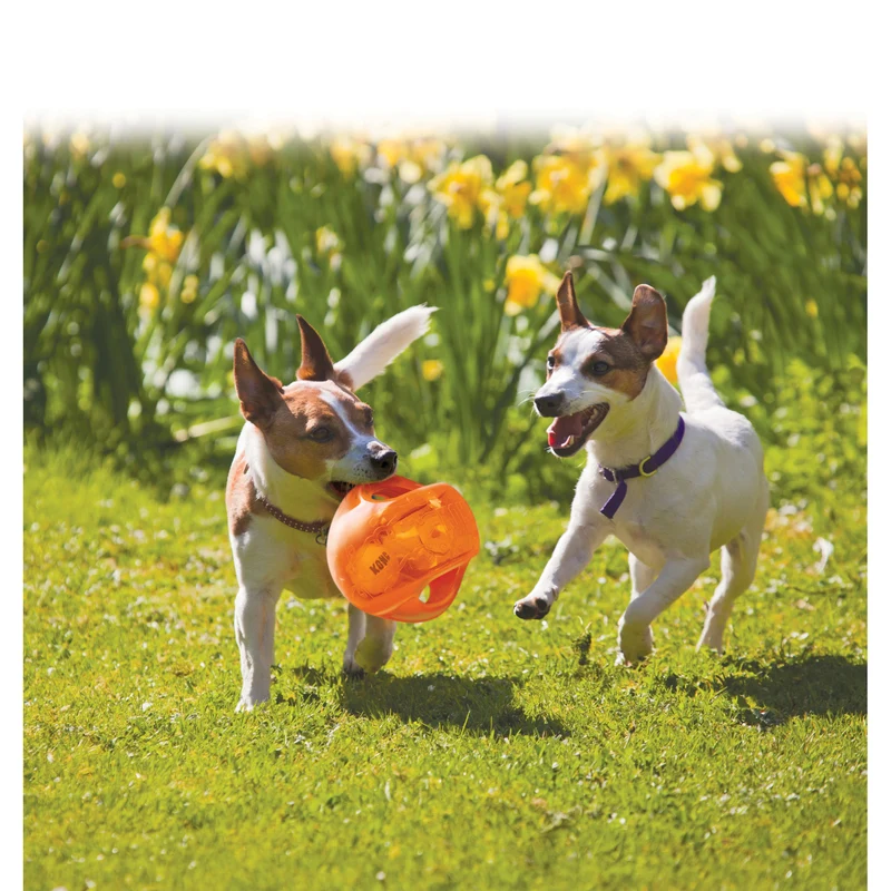KONG Jumbler – 2-in-1 Hundespielzeug mit Tennisball & Quietscher | Ball & Football