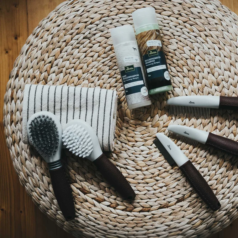 Pflegebürste Spa