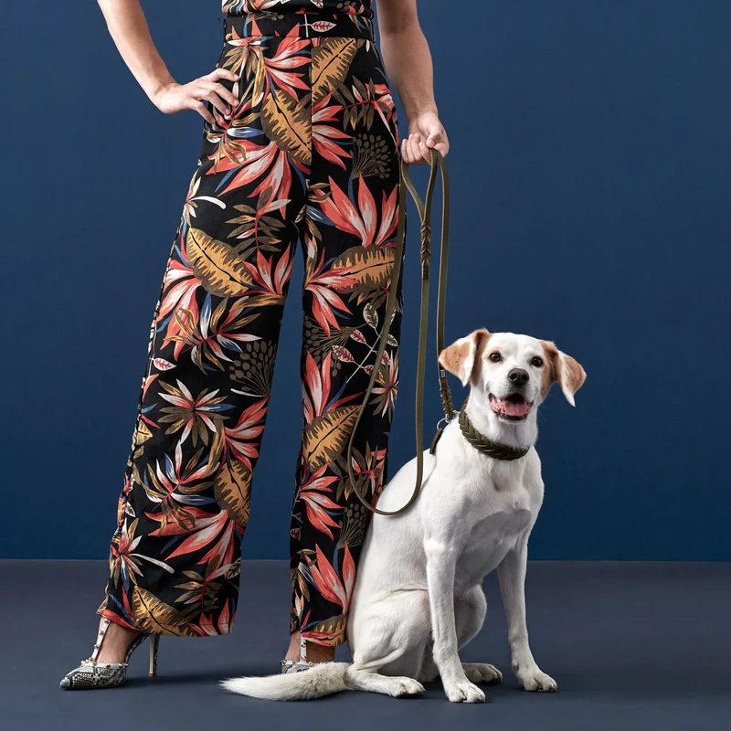 Halsband Solid Education Special