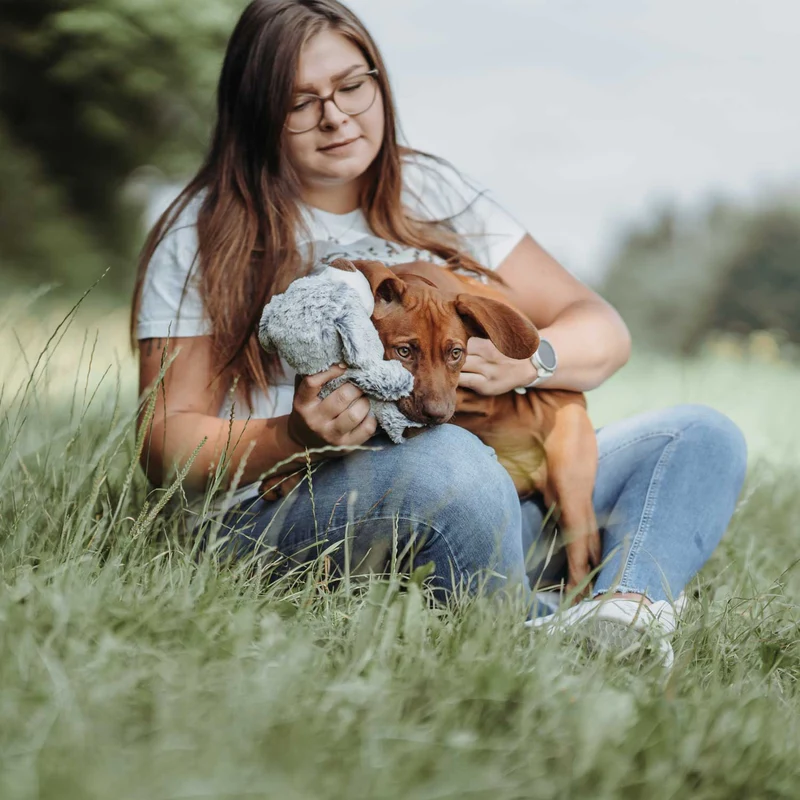 Hundespielzeug Faro