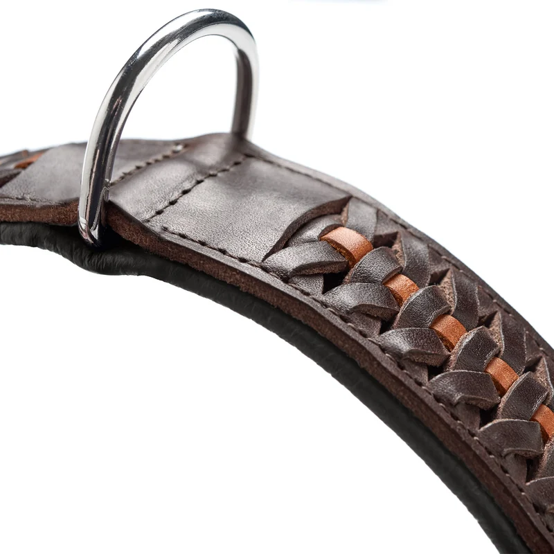Halsband Solid Education Exclusive