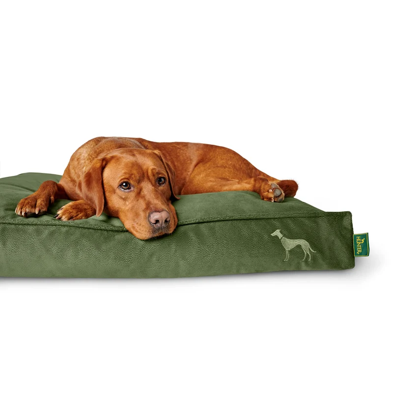 Orthopädisches/Ergonomisches Hundekissen Merida