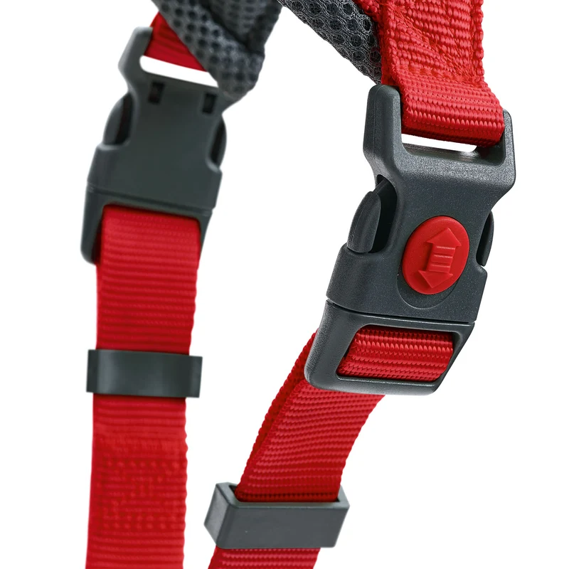 Geschirr London Comfort