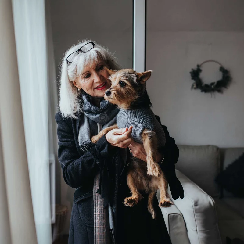 Hundepullover Malmö