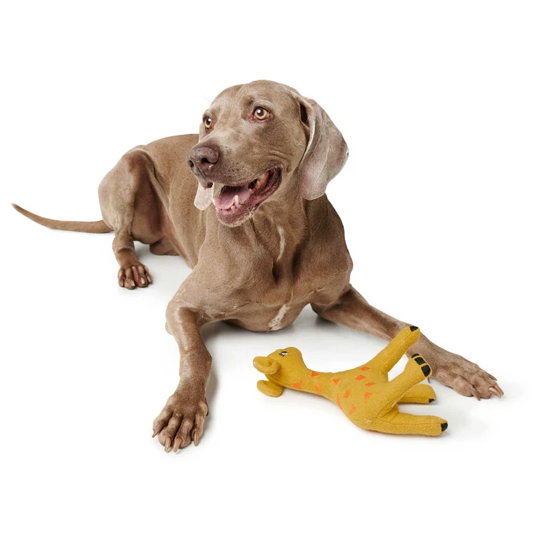 Hundespielzeug Eiby