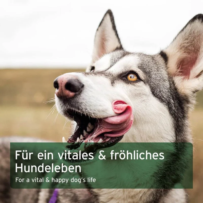 AniForte BARF Complete – Nährstoffmischung für Hunde