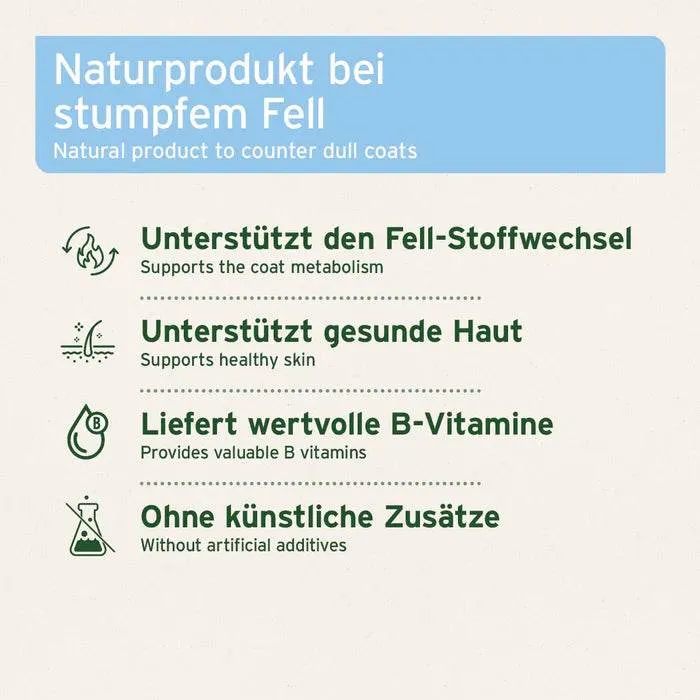 AniForte Bierhefe Pulver – Fell & Wohlbefinden