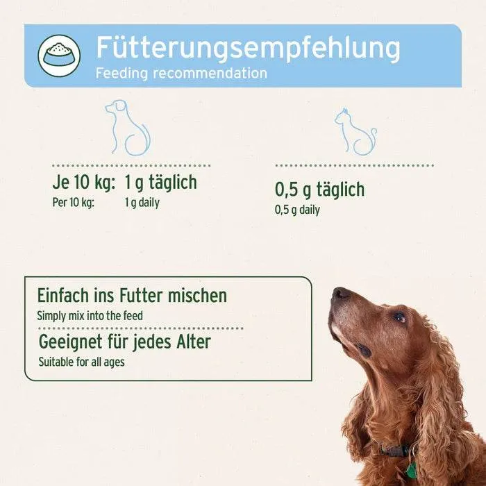 AniForte Bierhefe Pulver – Fell & Wohlbefinden