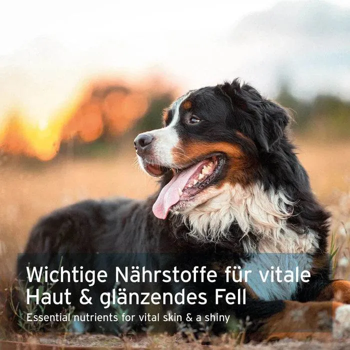 AniForte Bierhefe Pulver – Fell & Wohlbefinden
