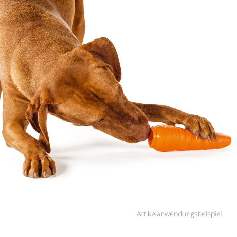 Planet Dog Carrot – Robustes Hundespielzeug
