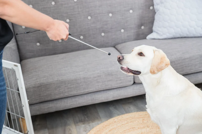 Target Stick